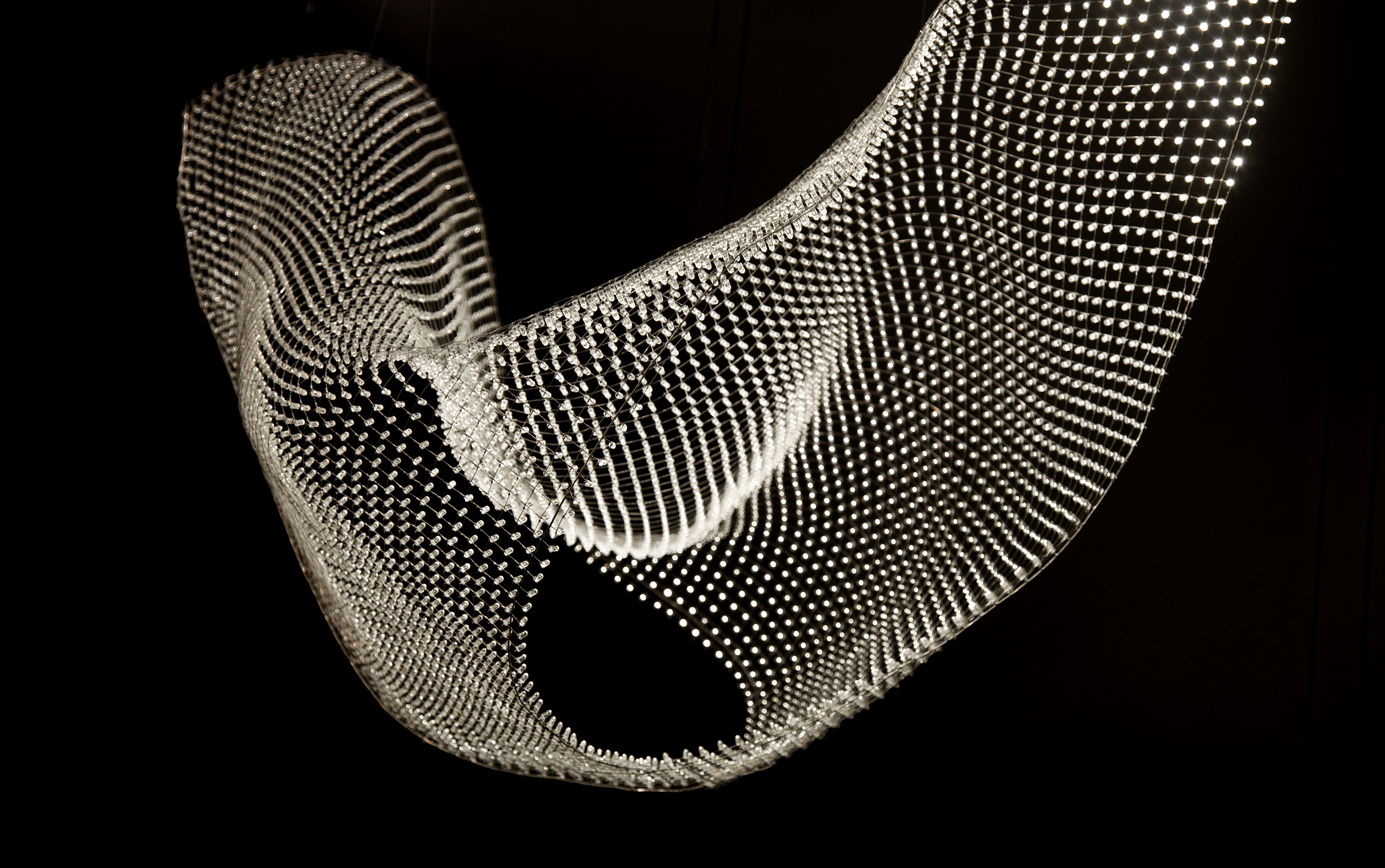Photo by Sigal Ben-David