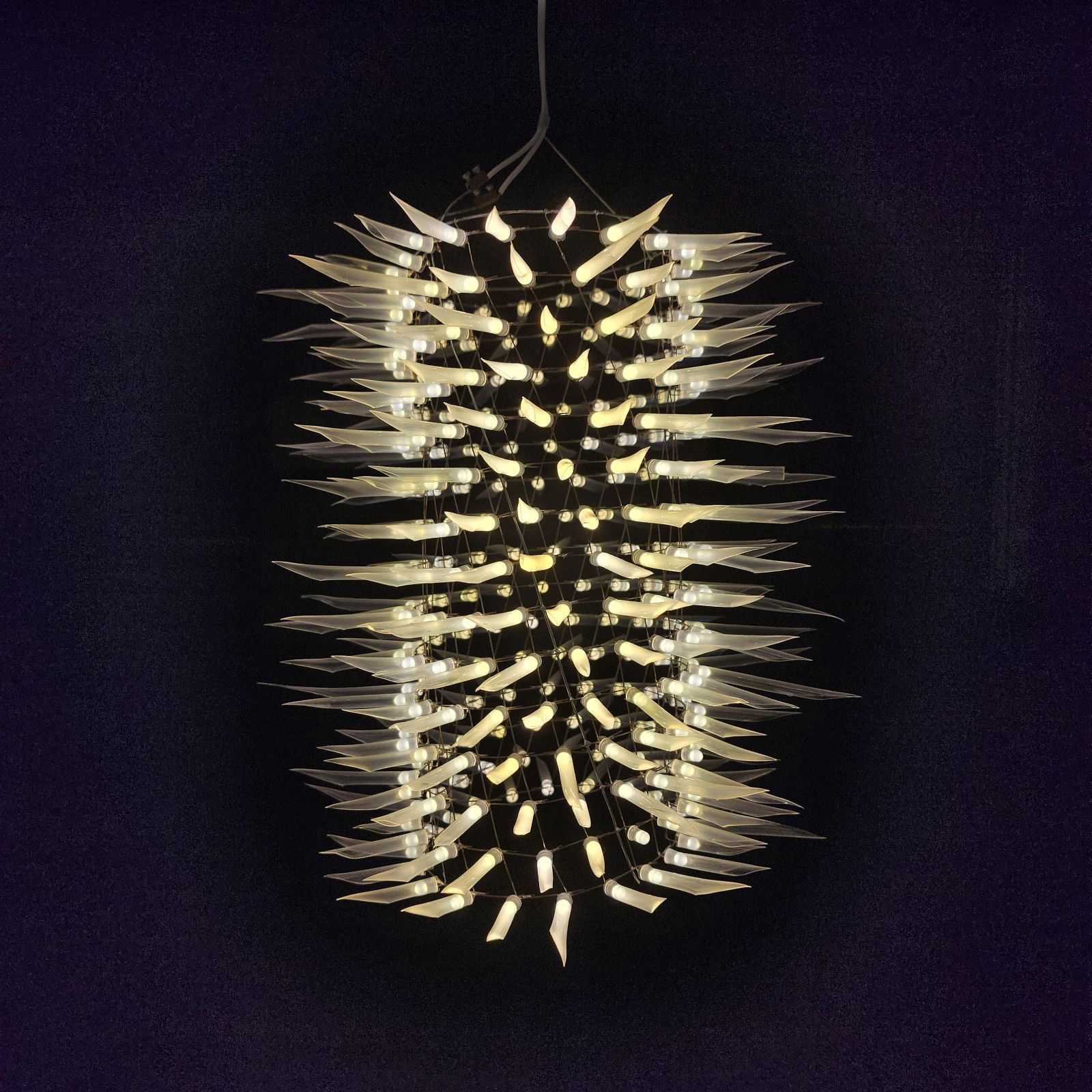 spine_cone