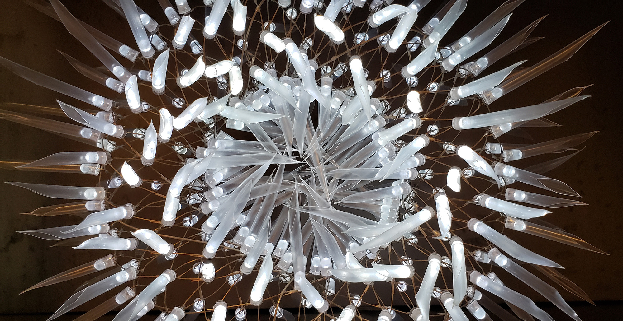 straw_urchin_detail