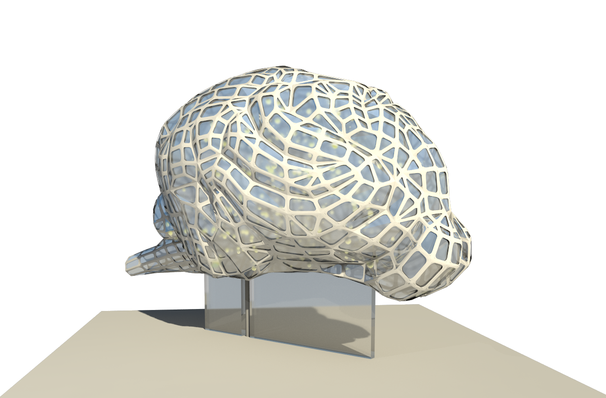 brain_model