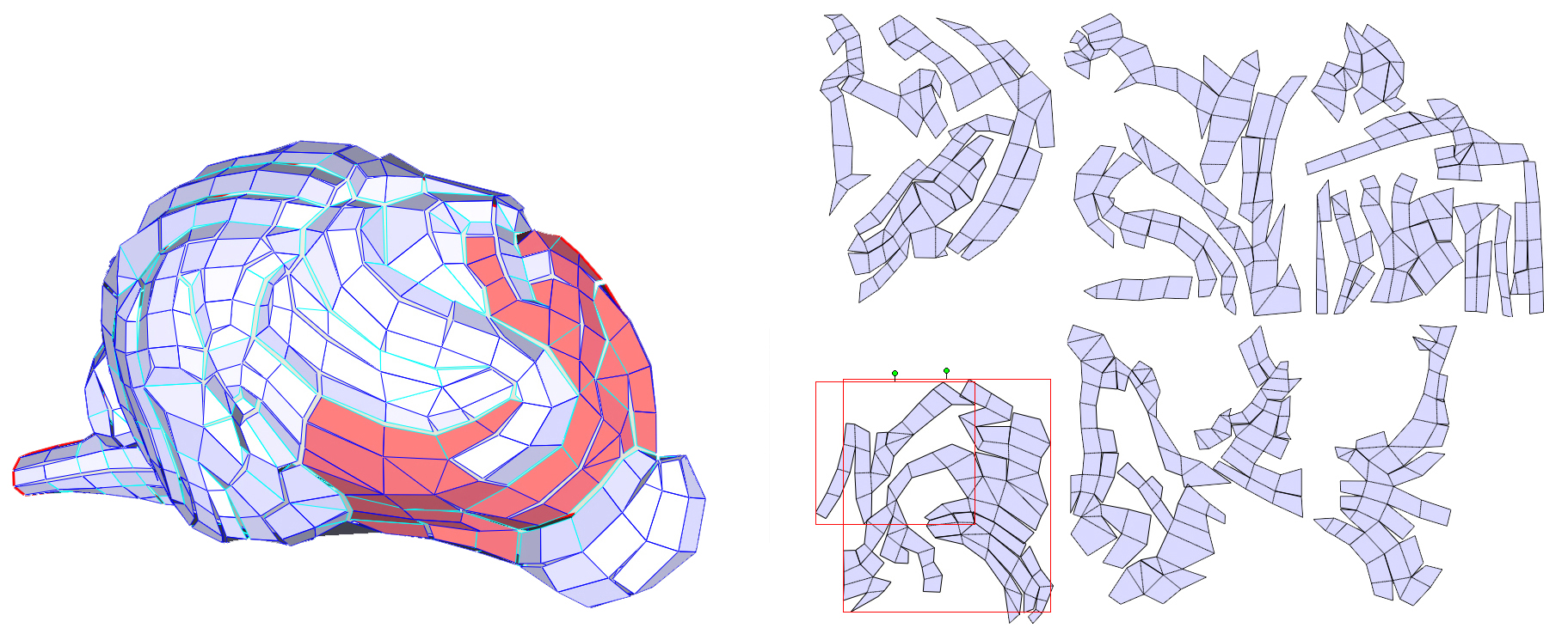 brain process