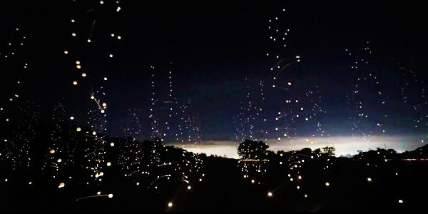 Particle Matters