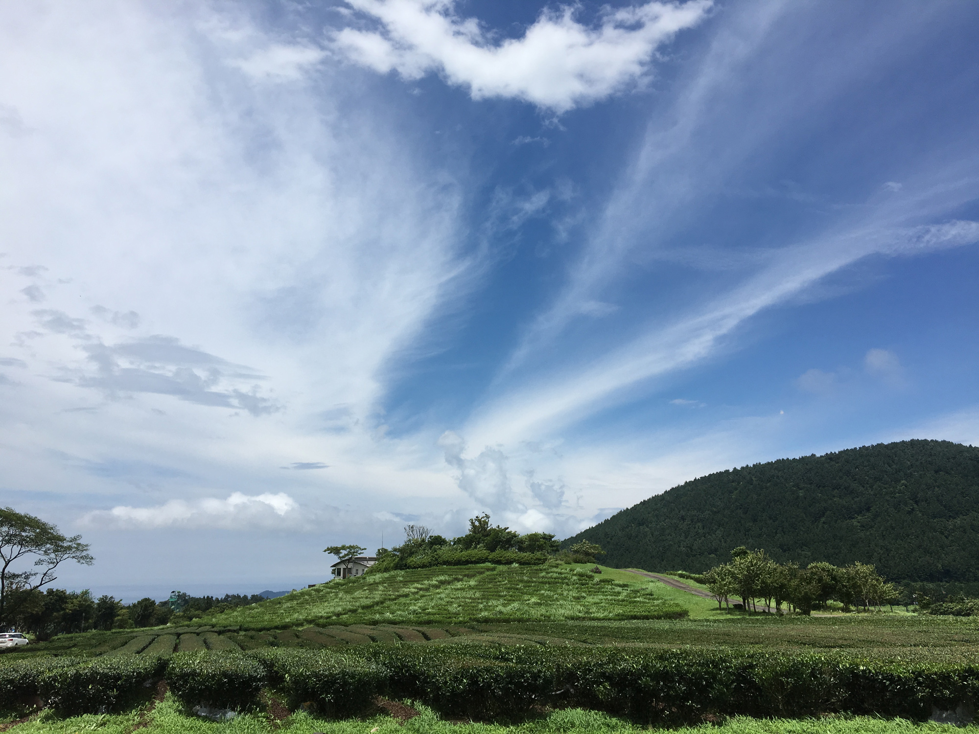 jeju landscape